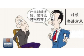 百色百色的要账公司在催收过程中的策略和技巧有哪些？